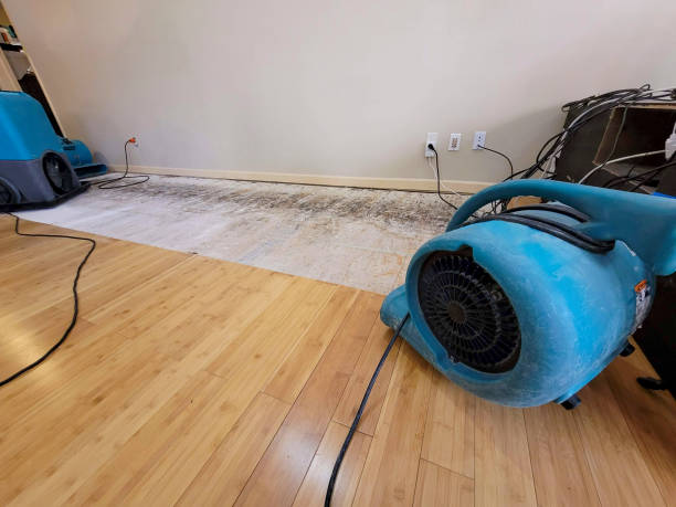 Professional Structural Drying technician working in Lake George, MI
